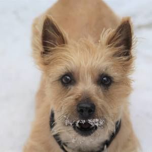 Meet your Posher, Kellyann